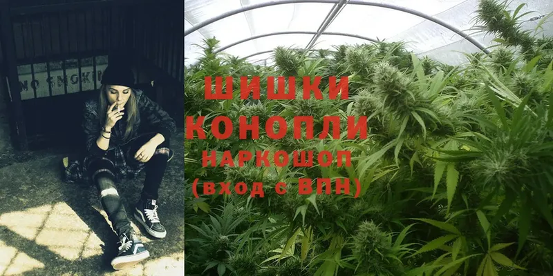 Бошки марихуана White Widow  Норильск 